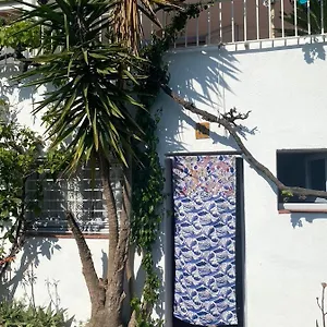  Apartamento Estudio Boho-chic Nuevo Bien Ubicado España